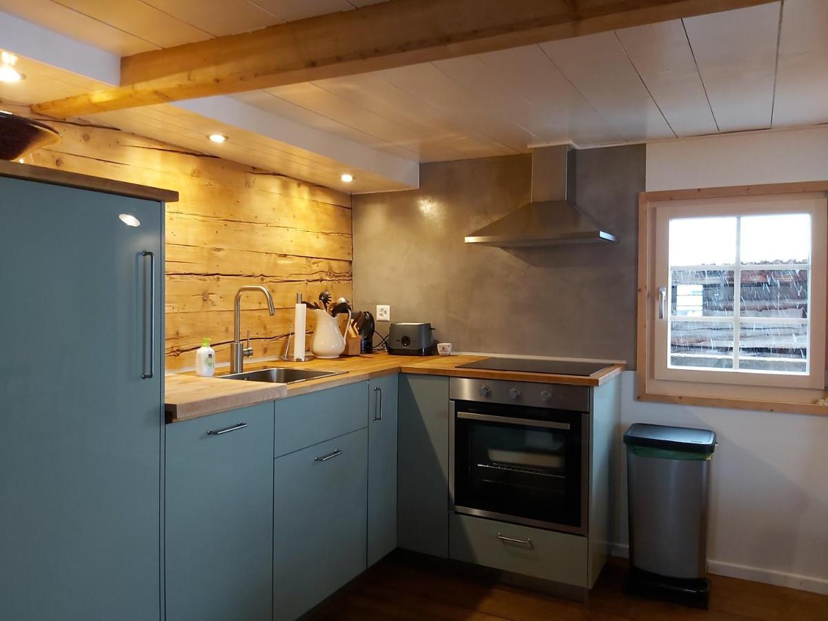 Tgesa Felici Apartment Седрун Екстериор снимка
